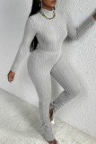 Silver Gray Casual Solid Color Slit Ruched Turtleneck Long Sleeve Two Pieces