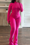 Turquoise Casual Solid Color Patchwork Zipper Zipper Collar Long Sleeve Two Pieces