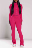 Turquoise Casual Solid Color Patchwork Zipper Zipper Collar Long Sleeve Two Pieces