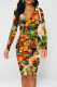 Brown Green Elegant Floral Print Contrast V Neck Printed Dresses