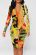 Ginger Elegant Floral Print Contrast V Neck Printed Dresses