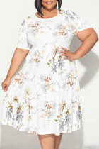 White Casual Floral Print Polka Dot Stripe Ruffle Contrast O Neck Printed Plus Size Dresses