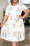 White Casual Floral Print Polka Dot Stripe Ruffle Contrast O Neck Printed Plus Size Dresses