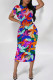 Deep Blue Elegant Floral Print Gradient Contrast O Neck Printed Short Sleeve Dress