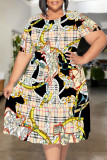 Black And White Casual Plaid Chain print Leopard Patchwork Contrast O Neck Printed Plus Size Dresses