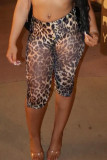 Leopard Print Sexy Leopard Print Patchwork Skinny Full Print Bottoms