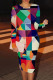 Orange Red Casual Print Patchwork O Neck Wrapped Skirt Dresses