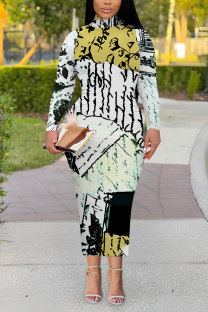 Multicolor Elegant Geometric Print Flowers Contrast Turtleneck Printed Dresses