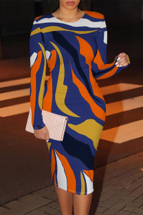 Blue Casual Geometric Print Contrast O Neck Printed Dresses