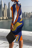 Blue Casual Geometric Print Contrast O Neck Printed Dresses