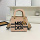 Light Pink Daily Letters Patchwork Contrast Bags