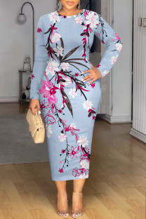 Baby Blue Casual Floral Print Contrast O Neck Printed Dresses