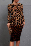 Cream White Casual Floral Print Leopard Contrast O Neck Printed Dresses