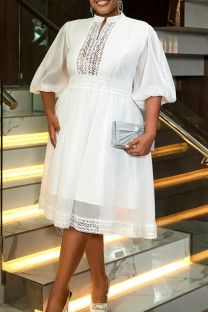 White Elegant Solid Color Lace Zipper O Neck Long Plus Size Dresses