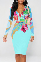 Lake Blue Elegant Graffiti Print Contrast V Neck Printed Dresses