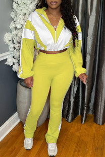 Yellow Casual Sportswear Daily Patchwork Contrast Zipper Collar Long Sleeve Two Pieces