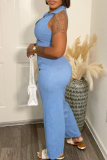 Blue Casual Solid Color Zipper Turndown Collar Sleeveless Two Pieces