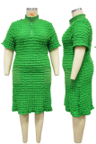 Green Casual Solid Color Zipper Zipper Collar Straight Plus Size Dresses