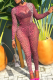 Leopard Print Sexy Leopard Print Patchwork O Neck Long Sleeve Two Pieces