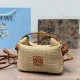 Apricot Casual Letters Zipper Weave Bags
