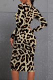 Blue Casual Floral Print Leopard Contrast O Neck Printed Dresses
