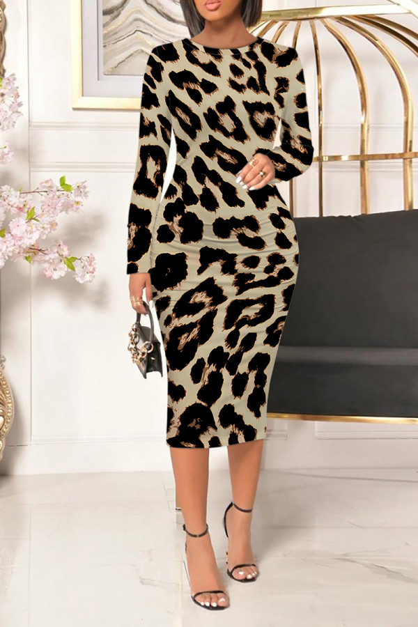 Leopard Print Casual Floral Print Leopard Contrast O Neck Printed Dresses