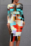 Blue Casual Floral Print Leopard Contrast O Neck Printed Dresses