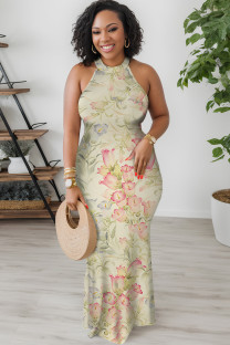 Apricot Geometric Print Flowers Stripe Contrast O Neck Dresses