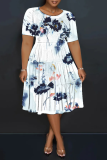 Multicolor Casual Print Patchwork O Neck Long Plus Size Dresses
