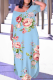 Baby Blue Casual Print Pocket Slit V Neck Long Dresses
