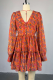 Tangerine Elegant Print Patchwork V Neck Printed Dresses