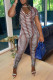 Deep Coffee Fashion Sexy Solid Hollowed Out See-through V Neck Skinny Jumpsuits