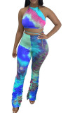 Orange Fashion Casual adult Ma'am Halter Print backless Two Piece Suits Stitching Plus Size
