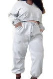 Grey Street Solid Bandage Frenulum O Neck Plus Size 