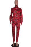 Leopard print Casual Patchwork Leopard Print Two Piece Suits pencil Long Sleeve 