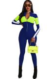 Blue Casual Fashion Solid zipper Patchwork Long Sleeve V Neck 