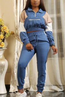 Blue Casual Patchwork Patchwork Zipper Collar Long Sleeve Regular Sleeve Two Pieces