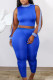 Blue Fashion Sexy Print Solid pencil Sleeveless Two Pieces