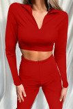 White Fashion Casual Solid Basic Turtleneck Tops