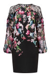 Black Fashion Long Sleeves O neck Straight Mini lace Patchwork Print 