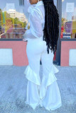 White Sexy Casual Solid See-through Long Sleeve Two Pieces