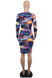Multicolor Fashion Casual Print Basic O Neck Long Sleeve Dresses