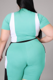 Black Sexy Color Block Patchwork Half A Turtleneck Plus Size Two Pieces