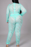 Mint green Sexy Solid Patchwork See-through O Neck Plus Size Two Pieces