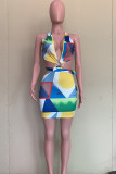 Multicolor Fashion Sexy Print Backless Halter Sleeveless Dress