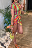 Multicolor Fashion Striped Print Asymmetrical Half A Turtleneck Short Sleeve Dress