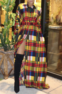 Colour Sexy Plaid Slit Turndown Collar Dresses