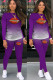 purple Fashion Casual adult Ma'am Print Two Piece Suits pencil Long Sleeve Two Pieces