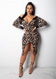 As Show Sexy Fashion Spaghetti Strap Long Sleeves Asymmetrical Collar Asymmetrical Mid-Calf Club Dresses DZ826