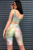 Multi-color Sexy Fashion Print Patchwork Straight Sleeveless Two-Piece Short Set